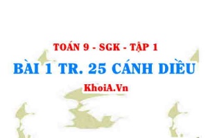 Bài 1 trang 25 Toán 9 Cánh diều Tập 1